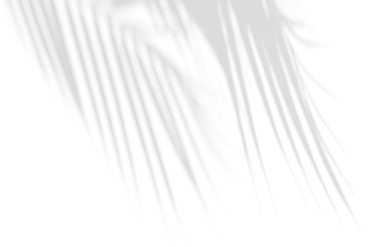 decorative palm leaf shadow